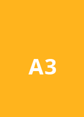 A3